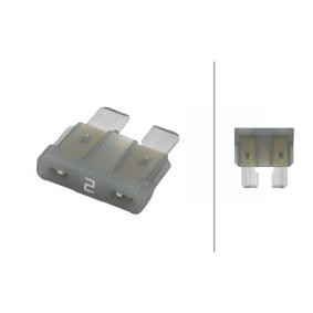 ATO Steekzekering grijs 2A VPE 100ST